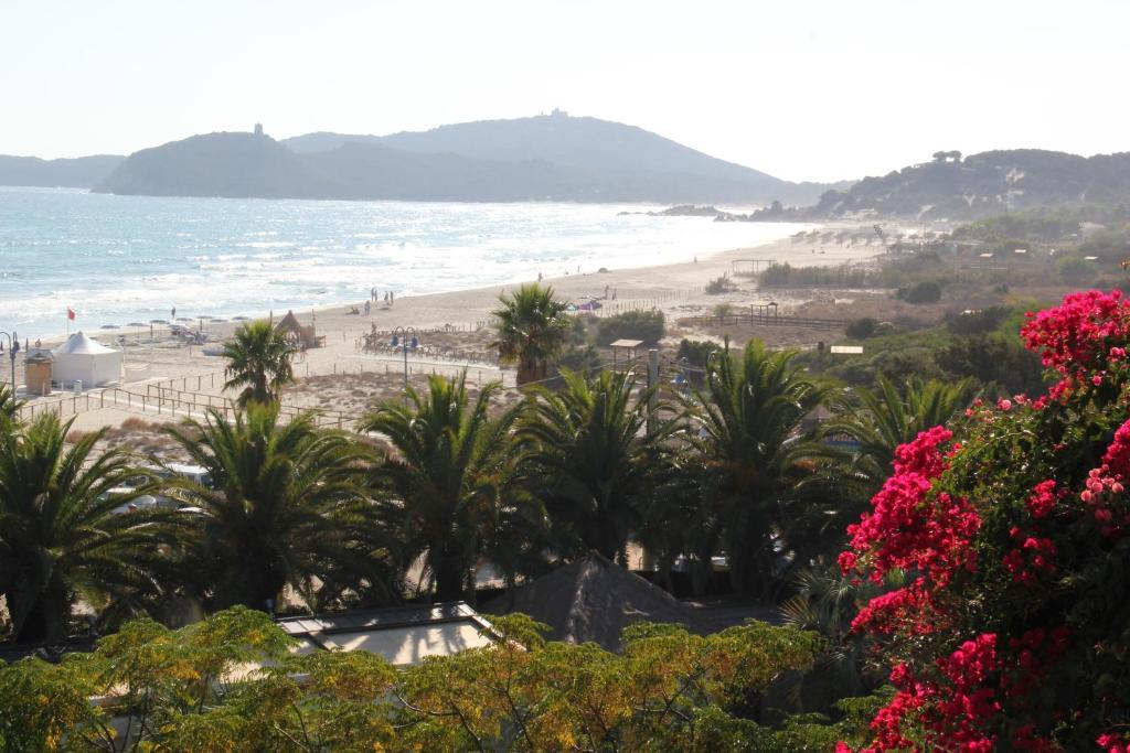 Simius Playa